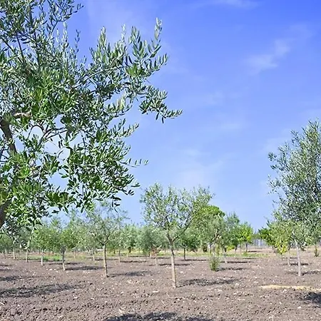 Tenuta Quisisana Pietrelcina Exterior foto