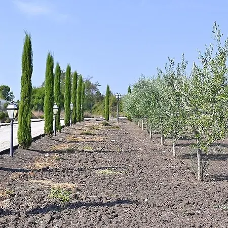 Tenuta Quisisana Pietrelcina Exterior foto