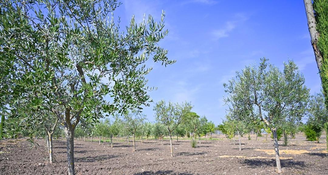 Tenuta Quisisana *
